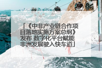《中非产业链合作项目落地实施方案总纲》发布 数字化平台赋能非洲发展驶入快车道