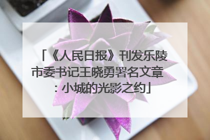 《人民日报》刊发乐陵市委书记王晓勇署名文章：小城的光影之约