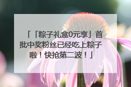 「粽子礼盒0元享」首批中奖粉丝已经吃上粽子啦！快抢第二波！