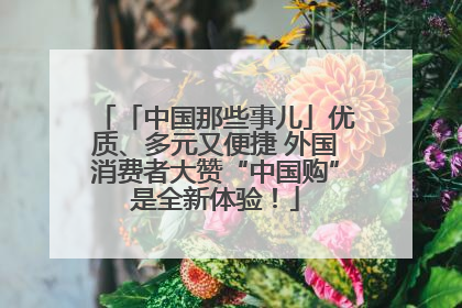 「中国那些事儿」优质、多元又便捷 外国消费者大赞“中国购”是全新体验！