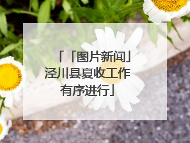 「图片新闻」泾川县夏收工作有序进行