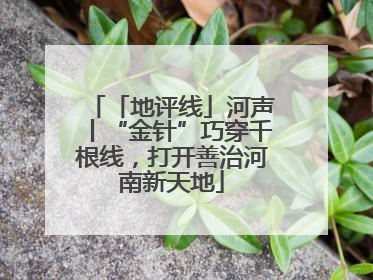 「地评线」河声丨“金针”巧穿千根线，打开善治河南新天地
