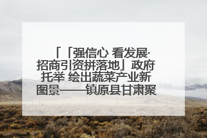 「强信心 看发展·招商引资拼落地」政府托举 绘出蔬菜产业新图景——镇原县甘肃聚广利现代设施蔬菜种植基地见闻