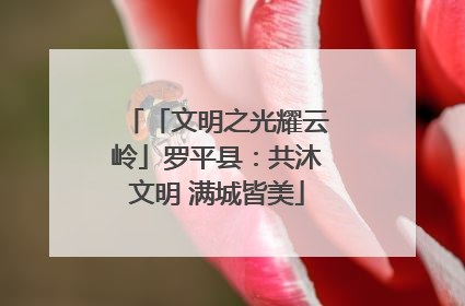 「文明之光耀云岭」罗平县：共沐文明 满城皆美