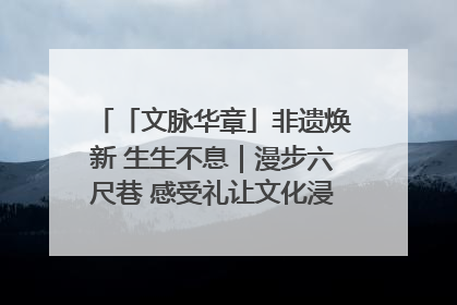 「文脉华章」非遗焕新 生生不息｜漫步六尺巷 感受礼让文化浸润的“巷”往生活