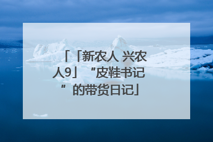 「新农人 兴农人9」“皮鞋书记”的带货日记
