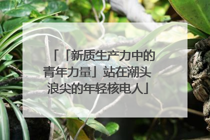 「新质生产力中的青年力量」站在潮头浪尖的年轻核电人