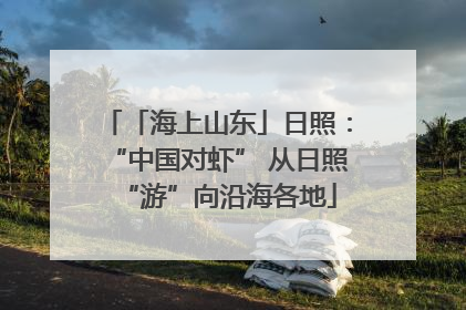 「海上山东」日照：“中国对虾” 从日照“游”向沿海各地