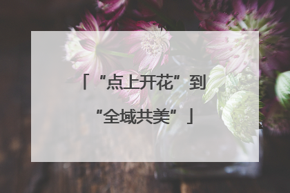 “点上开花”到“全域共美”