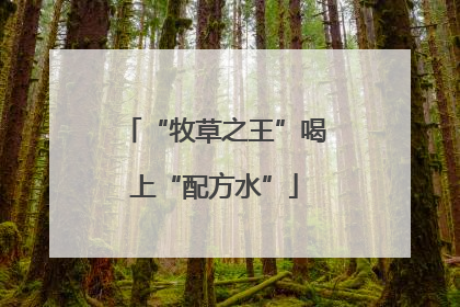 “牧草之王”喝上“配方水”