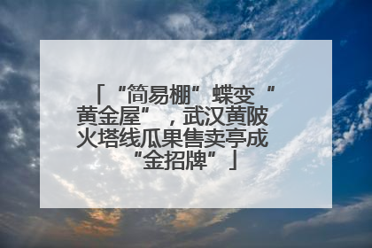 “简易棚”蝶变“黄金屋”，武汉黄陂火塔线瓜果售卖亭成“金招牌”