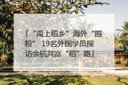 “禹上稻乡”海外“圈粉” 19名外国学员探访余杭共富“稻”路