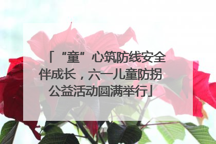 “童”心筑防线安全伴成长，六一儿童防拐公益活动圆满举行