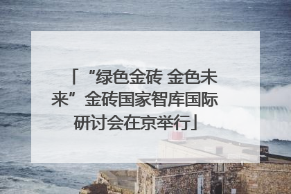 “绿色金砖 金色未来”金砖国家智库国际研讨会在京举行