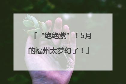 “绝绝紫”！5月的福州太梦幻了！