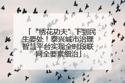 “绣花功夫”下到民生要处！泰兴城市治理智慧平台实现全时段联网全要素细治