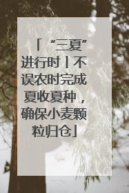 “三夏”进行时丨不误农时完成夏收夏种，确保小麦颗粒归仓