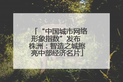 “中国城市网络形象指数”发布 株洲：智造之城擦亮中部经济名片