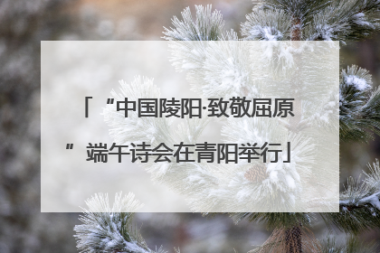 “中国陵阳·致敬屈原”端午诗会在青阳举行