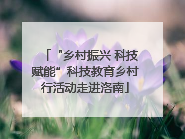 “乡村振兴 科技赋能”科技教育乡村行活动走进洛南
