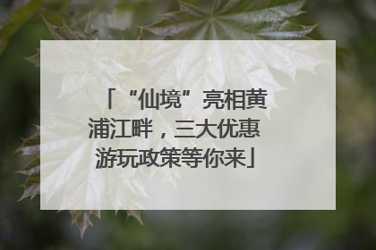 “仙境”亮相黄浦江畔，三大优惠游玩政策等你来