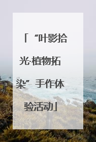 “叶影拾光·植物拓染”手作体验活动