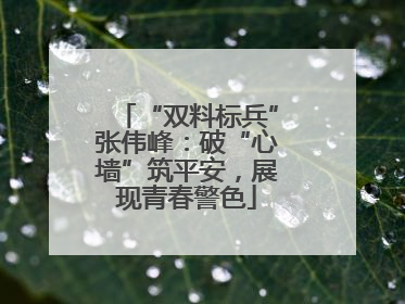 “双料标兵”张伟峰：破“心墙”筑平安，展现青春警色