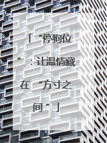 “停狗位 ”：让温情藏在 “方寸之间 ”