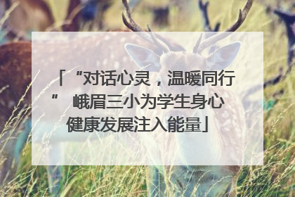 “对话心灵，温暖同行” 峨眉三小为学生身心健康发展注入能量