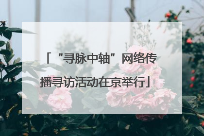“寻脉中轴”网络传播寻访活动在京举行