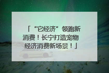 “它经济”领跑新消费！长宁打造宠物经济消费新场景！