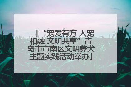 “宠爱有方 人宠相融 文明共享”青岛市市南区文明养犬主题实践活动举办