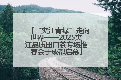 “夹江青绿”走向世界——2025夹江品质出口茶专场推荐会于成都启幕