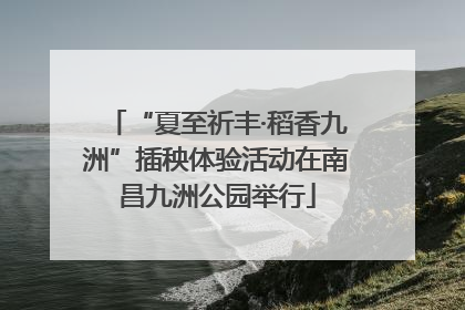 “夏至祈丰·稻香九洲”插秧体验活动在南昌九洲公园举行