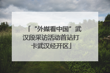 “外媒看中国”武汉段采访活动首站打卡武汉经开区