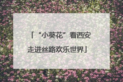 “小葵花”看西安走进丝路欢乐世界