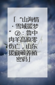 “山海情・雪域援梦”②：鲁中肉羊高原零伤亡，山东援藏破养殖密码
