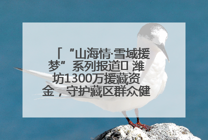 “山海情·雪域援梦”系列报道⑪ 潍坊1300万援藏资金，守护藏区群众健康“最后一公里”