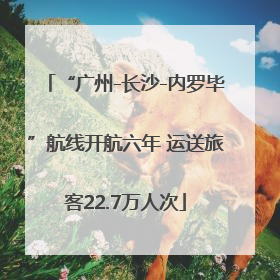 “广州-长沙-内罗毕”航线开航六年 运送旅客22.7万人次