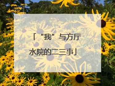 “我”与方厅水院的二三事