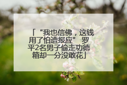 “我也信佛，这钱用了怕遭报应” 罗平2名男子偷走功德箱却一分没敢花