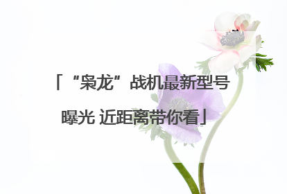 “枭龙”战机最新型号曝光 近距离带你看