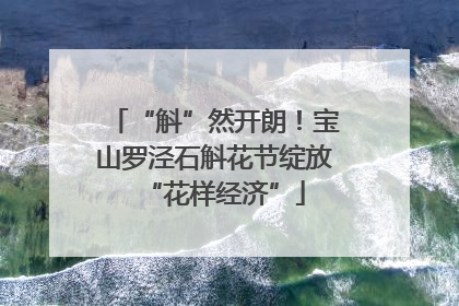 “斛”然开朗！宝山罗泾石斛花节绽放“花样经济”