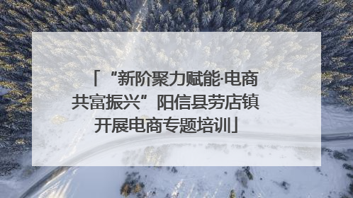 “新阶聚力赋能·电商共富振兴”阳信县劳店镇开展电商专题培训