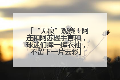 “无痕”观赛！阿连和阿苏握手言和，球迷们挥一挥衣袖，不留下一片云彩
