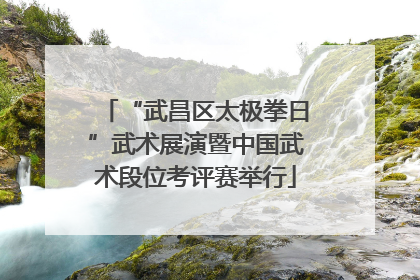 “武昌区太极拳日”武术展演暨中国武术段位考评赛举行