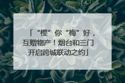 “樱”你“梅”好，互赠物产！烟台和三门开启跨城联动之约
