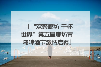 “欢聚廊坊 干杯世界”第五届廊坊青岛啤酒节激情启幕