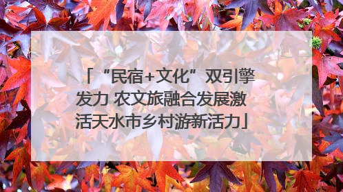 “民宿+文化”双引擎发力 农文旅融合发展激活天水市乡村游新活力