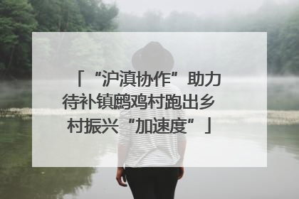“沪滇协作”助力待补镇鹧鸡村跑出乡村振兴“加速度”
